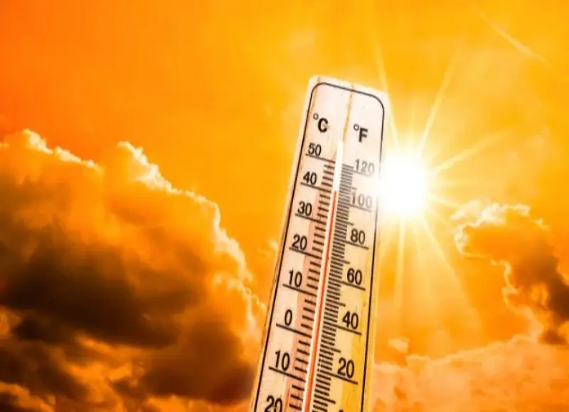 The Punjab Disaster Management Authority (PDMA) has issued a severe heatwave alert for the coming week