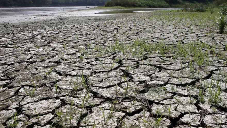 Hot weather hurts Asian crops as powerful El Nino takes shape