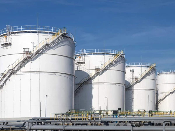 Policy flaws prevent foreign oil reserves from being established