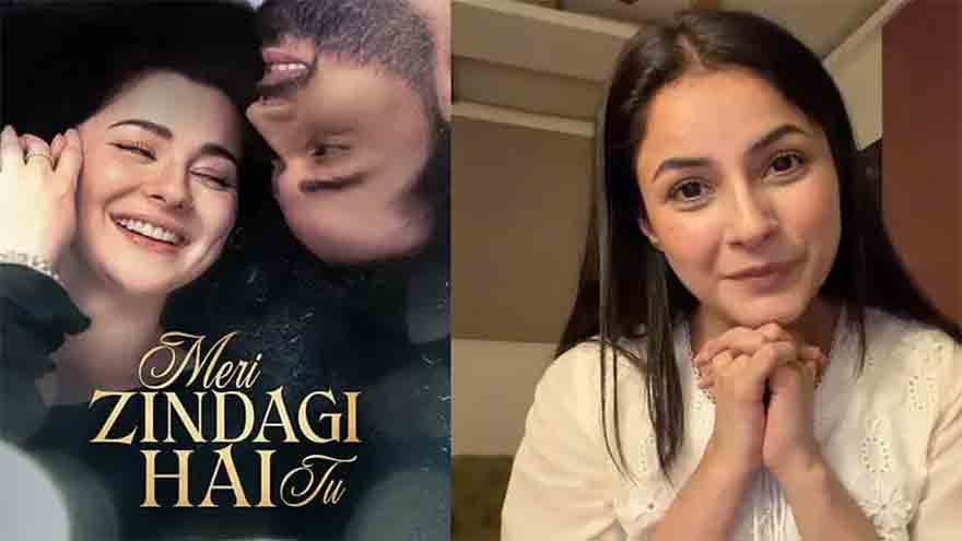 Pakistani dramas have no competition: Indian actor